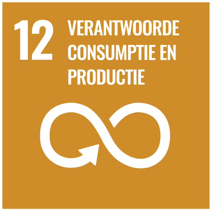 NL rbg SDG Goal 12